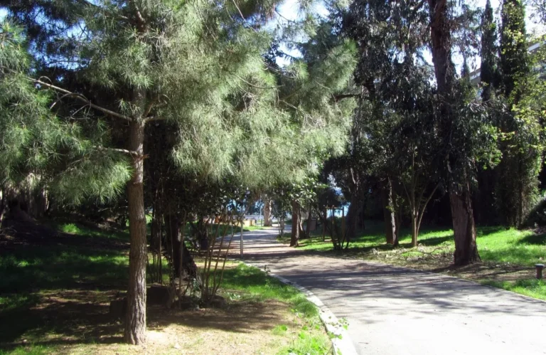 Zona verda Can Sans, Sant Andreu de Llavaneres