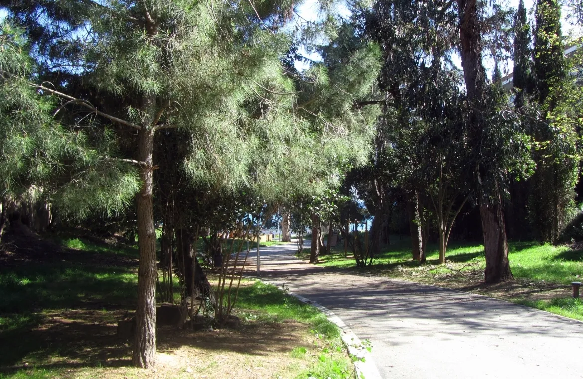 Urbanització àmbit Can Sans del polígon d’actuació PA-4 · Sant Andreu de Llavaneres. ae5 arquitectes